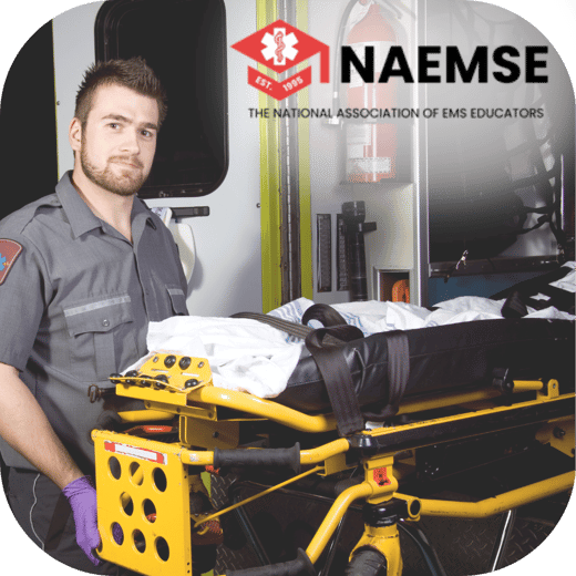 NAEMSE