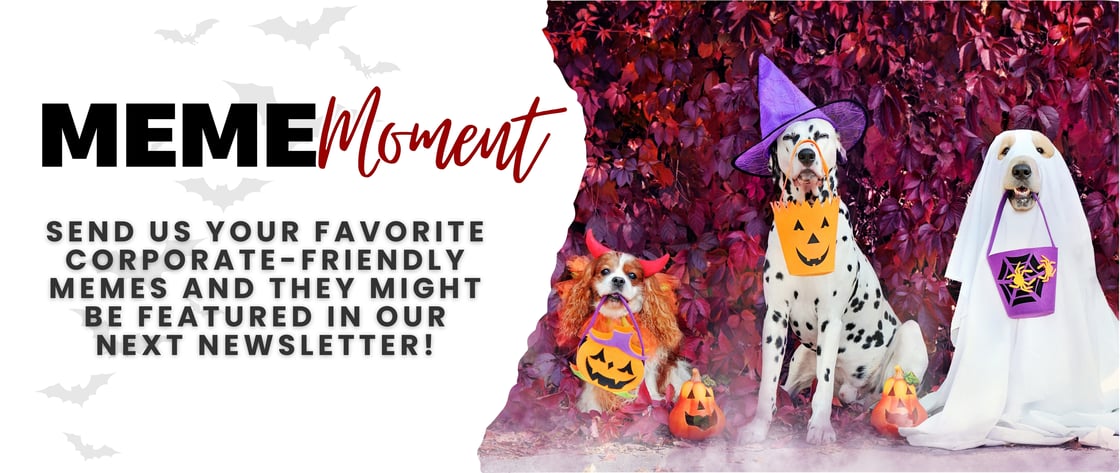 October 2025 Meme Vet Tech